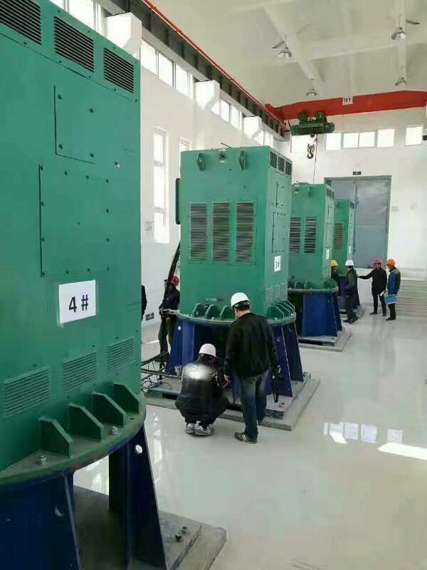 昌乐某污水处理厂使用我厂的立式高压电机安装现场安装尺寸